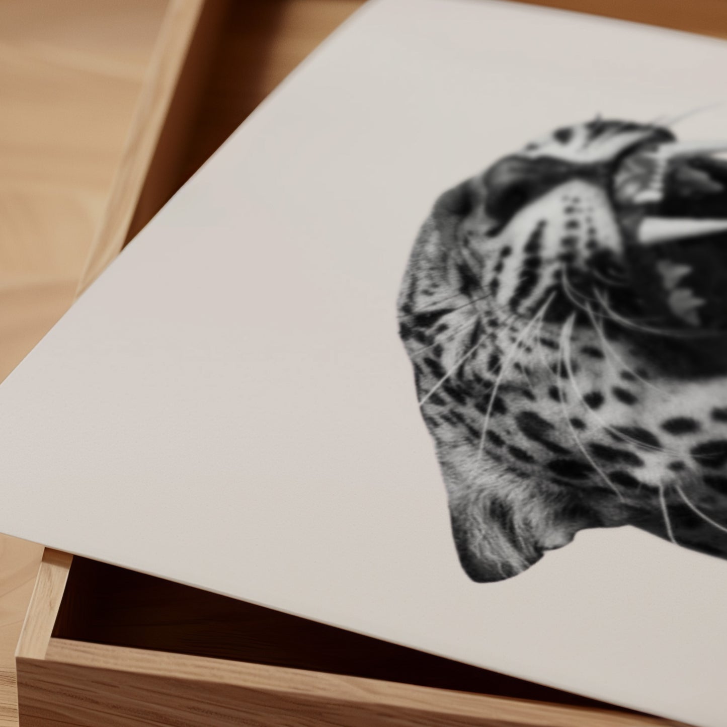 Leopard schwarz-weiß