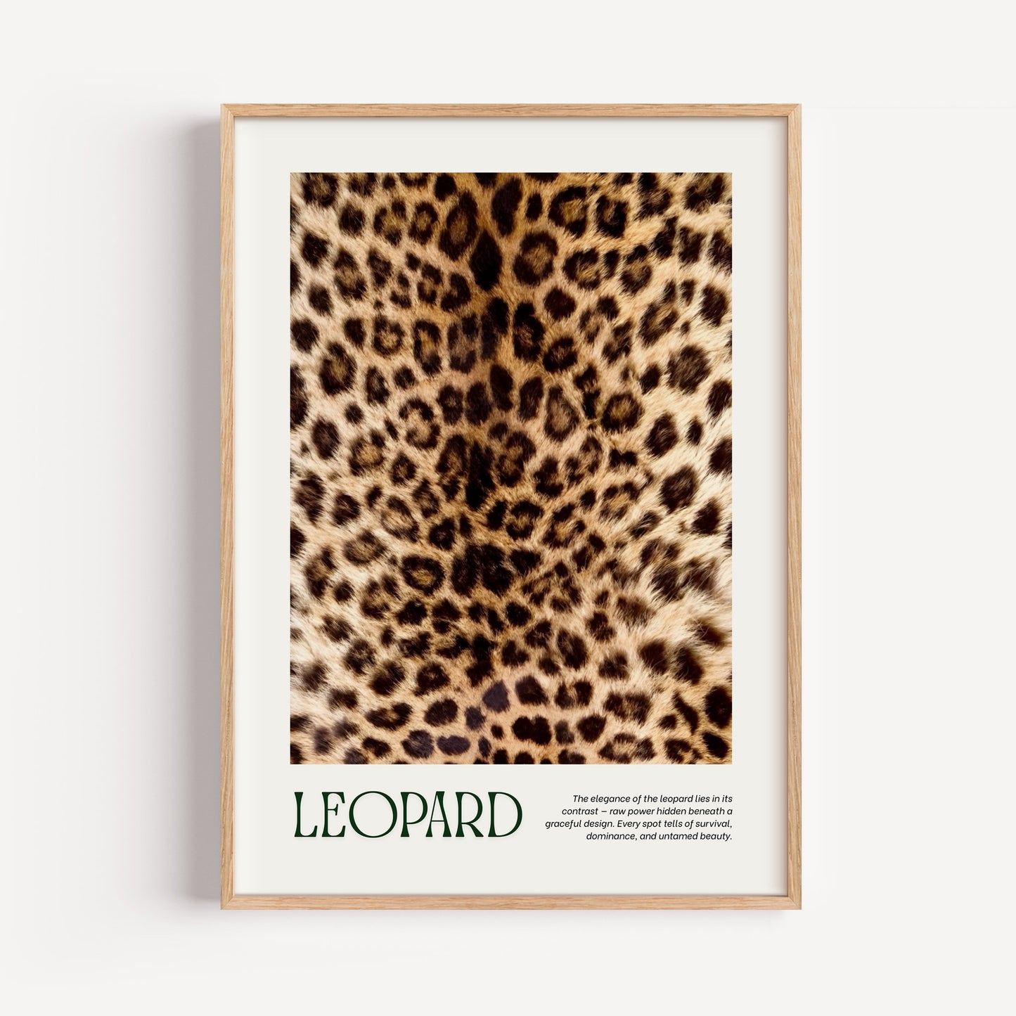 Leopard