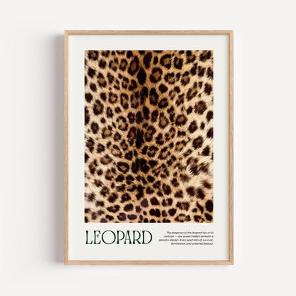 Leopard