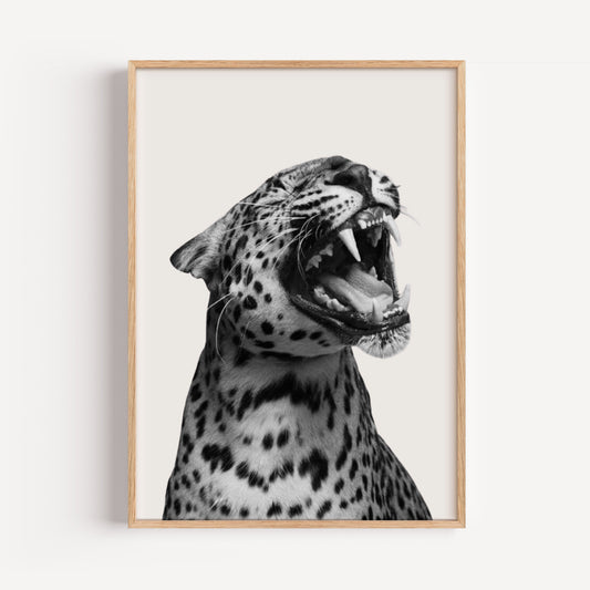 Leopard schwarz-weiß