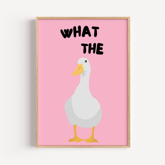 What the Duck